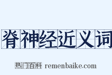 脊神经近义词是什么意思的图片